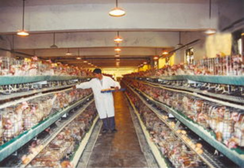 武汉博益阳光健康管理师培训